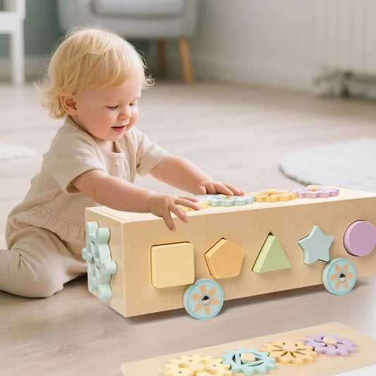 Montessori-Spielzeug für Babys – Farbsortieren – Lernspielzeug für die frühe Bildung